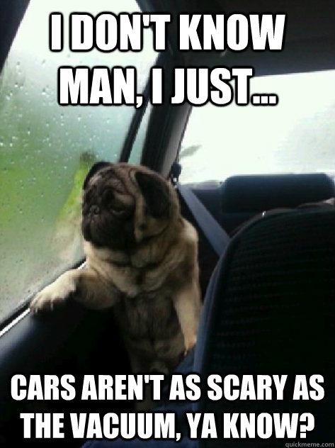 I Don't know man, i just... cars aren't as scary as the vacuum, ya know?  Introspective Pug