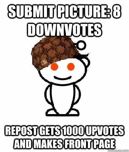 Submit Picture: 8 Downvotes Repost gets 1000 upvotes and makes front page  Scumbag Reddit