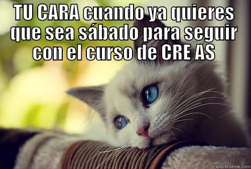 CREA AS - TU CARA CUANDO YA QUIERES QUE SEA SÁBADO PARA SEGUIR CON EL CURSO DE CRE AS  First World Problems Cat