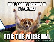 Go to largest casino in Northeast for the museum. - Go to largest casino in Northeast for the museum.  American Studies Slow Loris