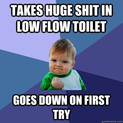 Takes huge shit in low flow toilet  Goes down on first try  Success Kid