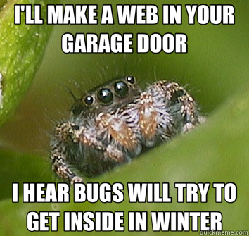 I'LL MAKE A WEB IN YOUR GARAGE DOOR I HEAR BUGS WILL TRY TO GET INSIDE IN WINTER - I'LL MAKE A WEB IN YOUR GARAGE DOOR I HEAR BUGS WILL TRY TO GET INSIDE IN WINTER  Misunderstood Spider
