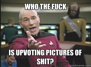who the fuck is upvoting pictures of shit?  Annoyed Picard