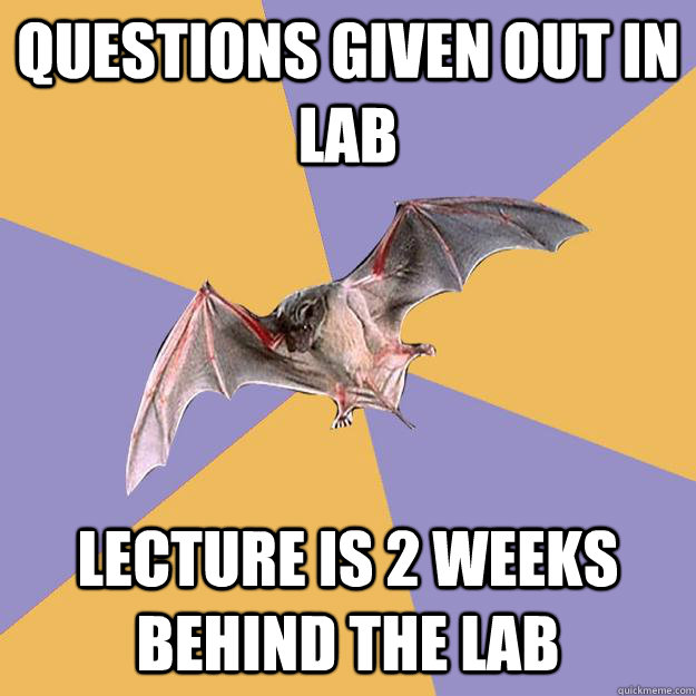 questions given out in lab Lecture is 2 weeks behind the lab  Engineering Major Bat