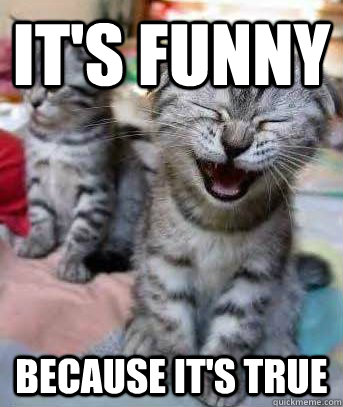 It's Funny Because it's true - It's Funny Because it's true  funny cat