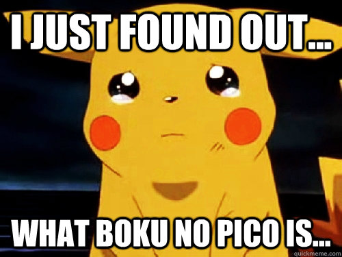 i JUST FOUND OUT... WHAT BOKU NO PICO IS... - i JUST FOUND OUT... WHAT BOKU NO PICO IS...  Sad Pika