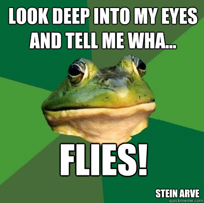 look deep into my eyes and tell me wha... flies! stein arve  Foul Bachelor Frog
