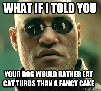 what if i told you your dog would rather eat cat turds than a fancy cake  Matrix Morpheus