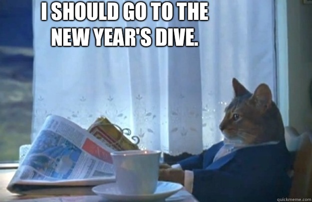 I should go to the New Year's Dive.   Sophisticated Cat
