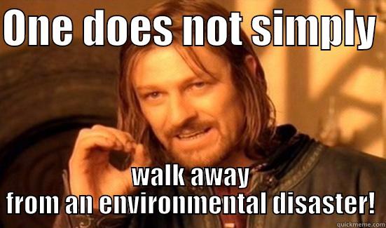 ONE DOES NOT SIMPLY  WALK AWAY FROM AN ENVIRONMENTAL DISASTER! Boromir