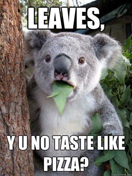 Leaves, Y U No taste like Pizza? - Leaves, Y U No taste like Pizza?  Surprised Koala