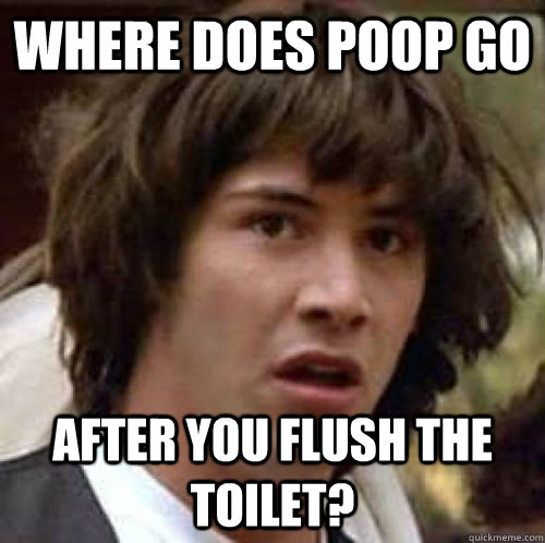 where does poop go after you flush the toilet?  conspiracy keanu