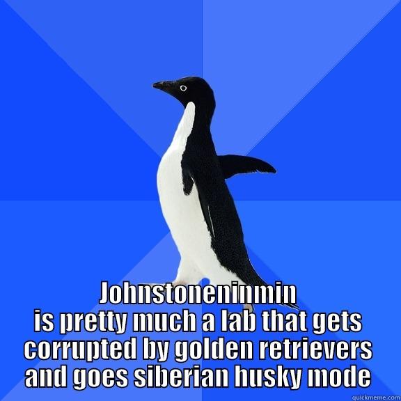  JOHNSTONENINMIN IS PRETTY MUCH A LAB THAT GETS CORRUPTED BY GOLDEN RETRIEVERS AND GOES SIBERIAN HUSKY MODE Socially Awkward Penguin