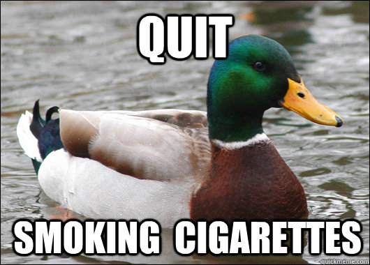 Quit smoking  cigarettes  Actual Advice Mallard