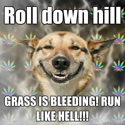 Roll down hill GRASS IS BLEEDING! RUN LIKE HELL!!!  Stoner Dog