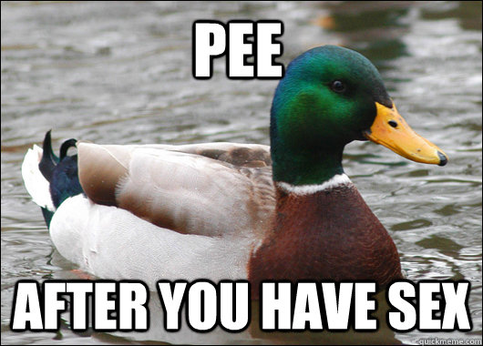 Pee After you have sex  Actual Advice Mallard