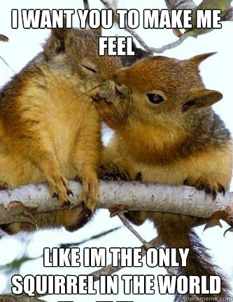 I WANT YOU TO MAKE ME FEEL LIKE IM THE ONLY SQUIRREL IN THE WORLD  Squirrel