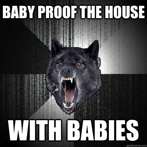 baby proof the house with babies  Insanity Wolf