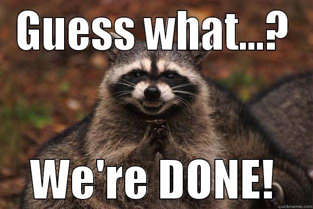 Done Raccoon - GUESS WHAT...? WE'RE DONE! Evil Plotting Raccoon