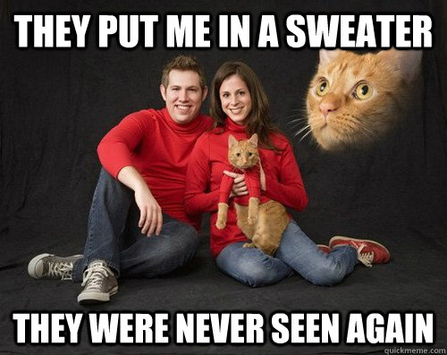 they put me in a sweater  they were never seen again   Evil Cat