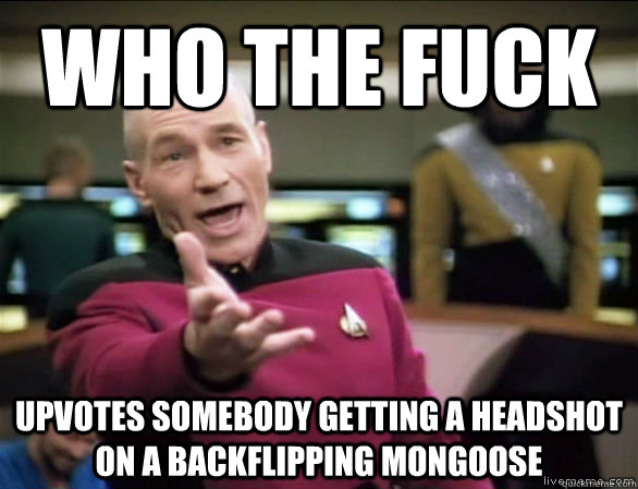 who the fuck upvotes somebody getting a headshot on a backflipping mongoose  Annoyed Picard HD