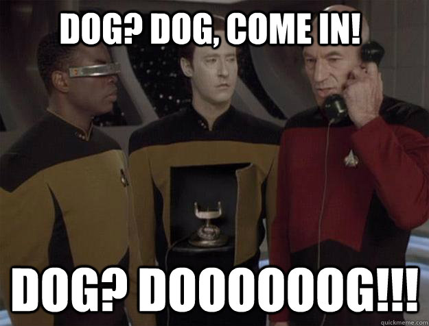 dog? Dog, come in! Dog? doooooog!!!  