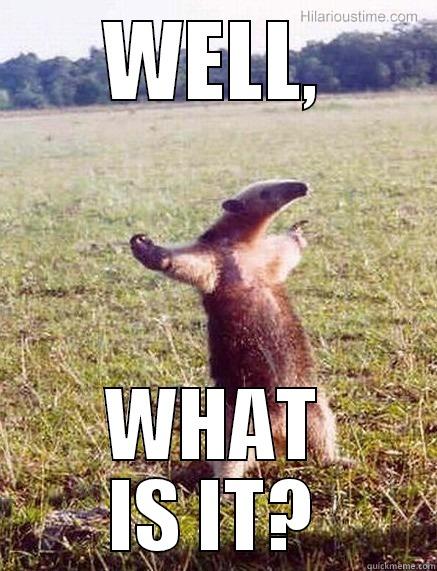 WELL, WHAT IS IT? Misc