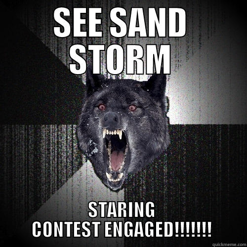 SEE SAND STORM STARING CONTEST ENGAGED!!!!!!! Insanity Wolf