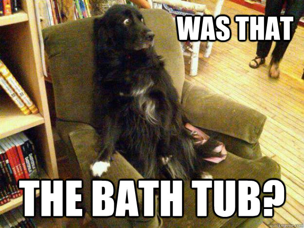Was that The bath tub?  