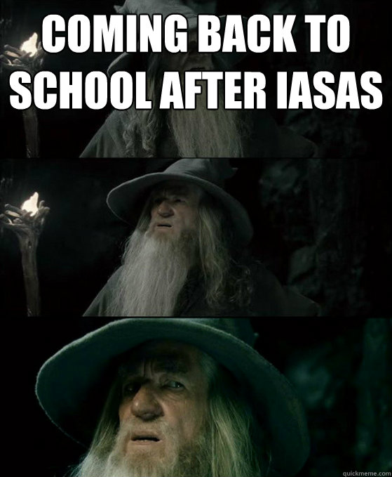 Coming back to school after iasas   Confused Gandalf
