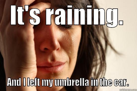 IT'S RAINING. AND I LEFT MY UMBRELLA IN THE CAR. First World Problems