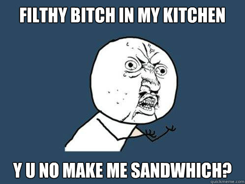 filthy bitch in my kitchen y u no make me sandwhich?  Y U No