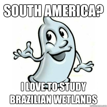 South America? I LOVE TO STUDY BRAZILIAN WETLANDS  