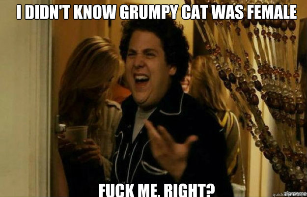 I didn't know Grumpy Cat was female FUCK ME, RIGHT?  fuck me right