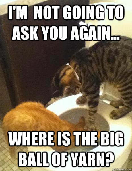 I'm  not going to ask you again... Where is the big ball of yarn?  