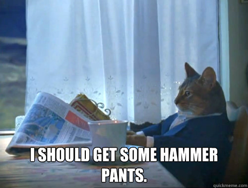  I should get some hammer pants.  The One Percent Cat