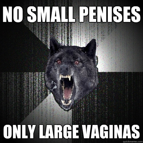 NO SMALL PENISES ONLY LARGE VAGINAS  Insanity Wolf