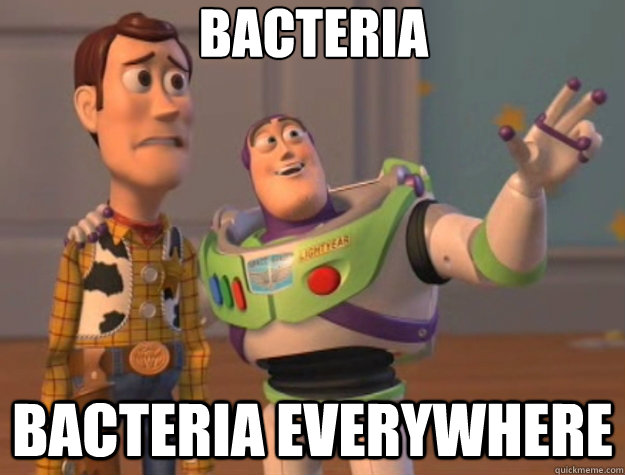 Bacteria bacteria everywhere - Bacteria bacteria everywhere  Toy Story