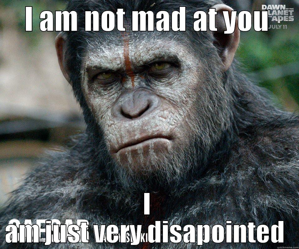 Angry Ape  - I AM NOT MAD AT YOU I AM JUST VERY DISAPPOINTED  Misc