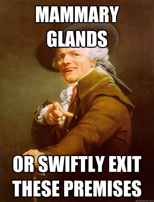 Mammary glands Or swiftly exit these premises - Mammary glands Or swiftly exit these premises  Joseph Ducreux
