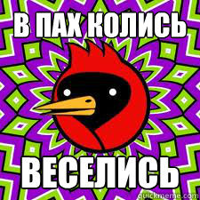 В ПАХ КОЛИСЬ ВЕСЕЛИСЬ  Omsk Bird