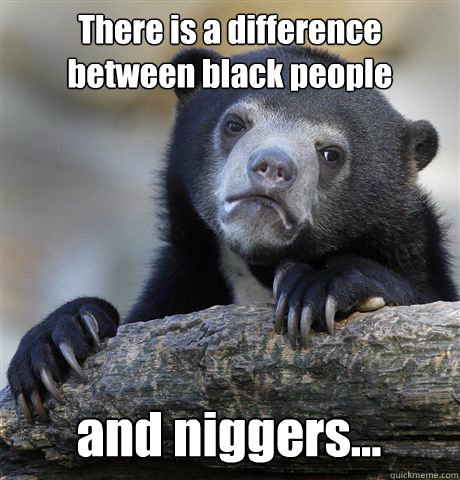 There is a difference between black people and niggers...  Confession Bear