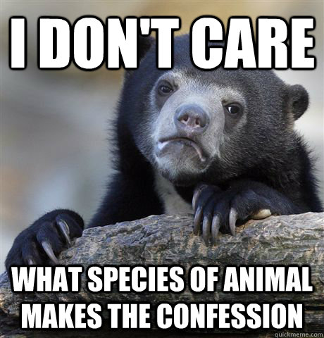 I don't care what species of animal makes the confession  Confession Bear