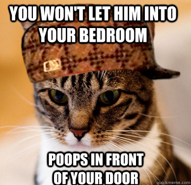 you won't let him into your bedroom poops in front of your door  Scumbag Cat
