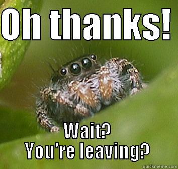 Thanks.  - OH THANKS!  WAIT? YOU'RE LEAVING? Misunderstood Spider