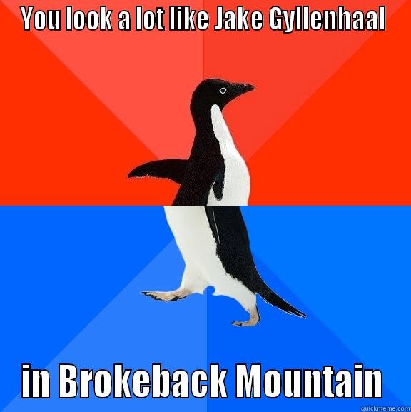 YOU LOOK A LOT LIKE JAKE GYLLENHAAL IN BROKEBACK MOUNTAIN Socially Awesome Awkward Penguin