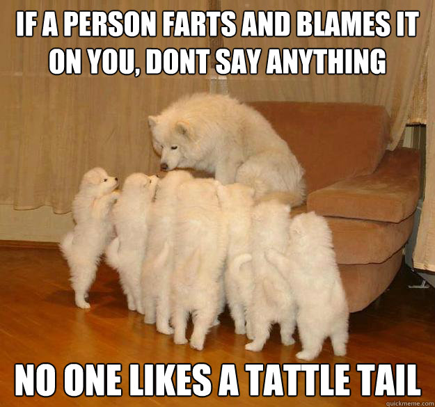 If a person farts and blames it on you, dont say anything no one likes a tattle tail - If a person farts and blames it on you, dont say anything no one likes a tattle tail  Misc