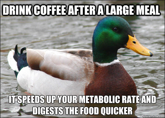 Drink coffee after a large meal It speeds up your metabolic rate and digests the food quicker  Actual Advice Mallard