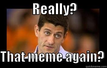              REALLY?              THAT MEME AGAIN? Misc