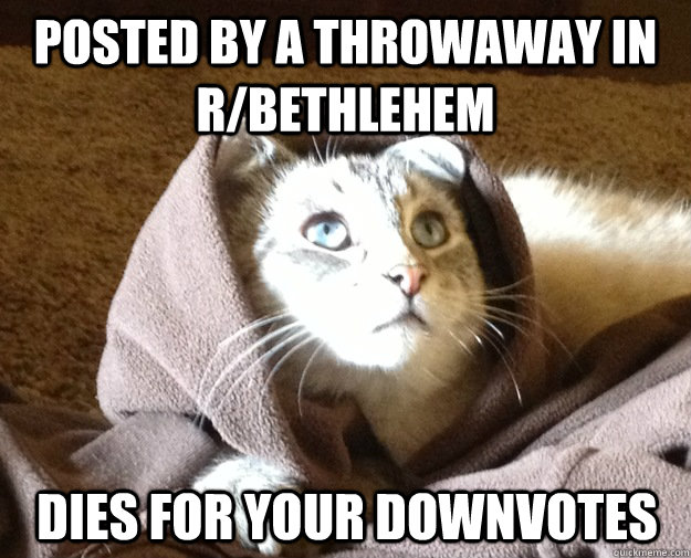 Posted by a throwaway in r/bethlehem Dies for your downvotes - Posted by a throwaway in r/bethlehem Dies for your downvotes  Kitty Jesus